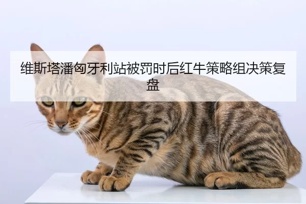 维斯塔潘匈牙利站被罚时后红牛策略组决策复盘
